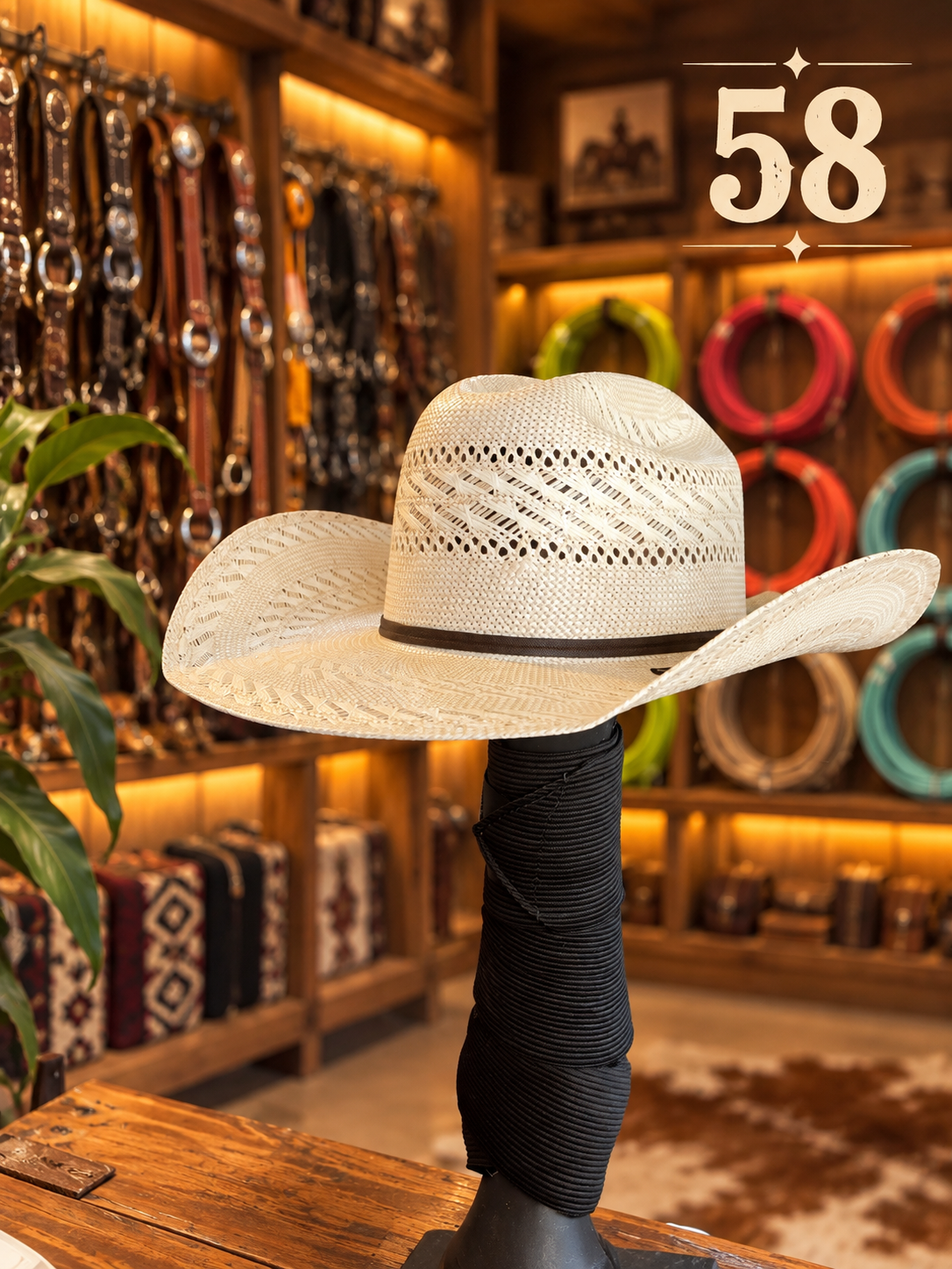 Sombrero Roper C