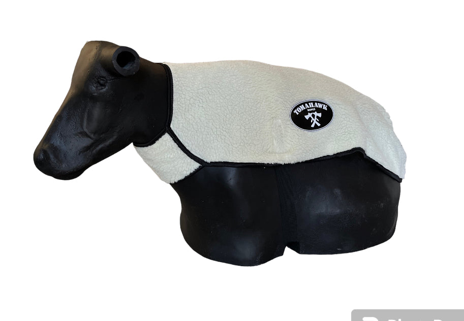 Protector de Dummy
