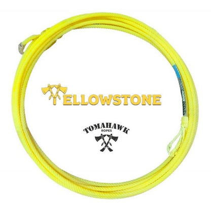 Lazo Yellowstone