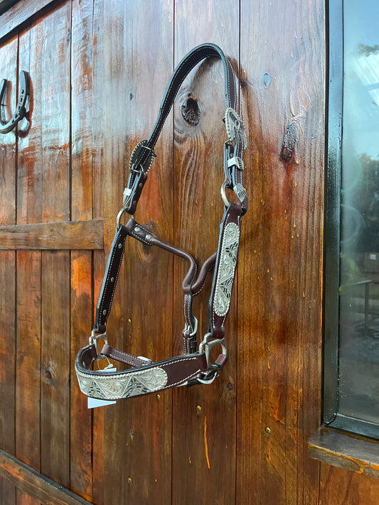 Halter de Exposición