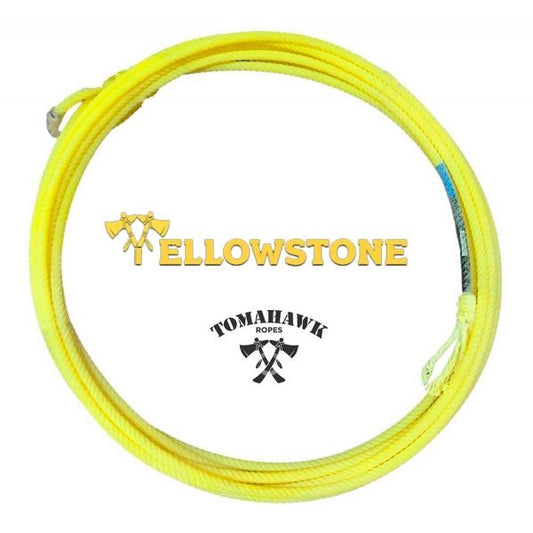 Lazo baby Yellowstone